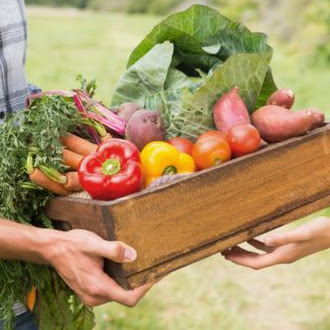 Cold Chain Logistics